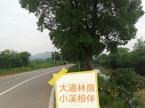 2大道林荫小溪相伴